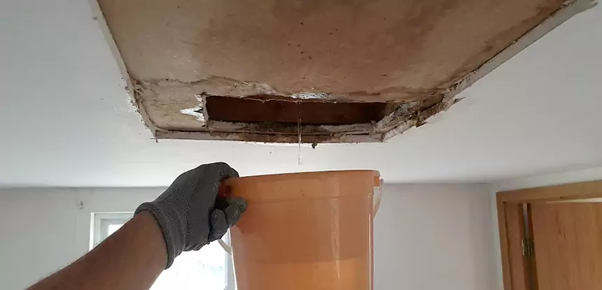 Ceiling Mold Repair Lithia Springs