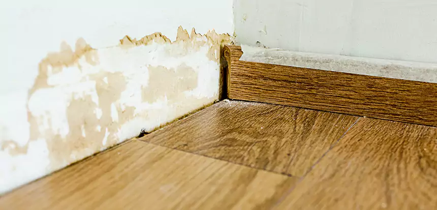 Professional Fix Water Damaged Wood Services in Lithia Springs, GA